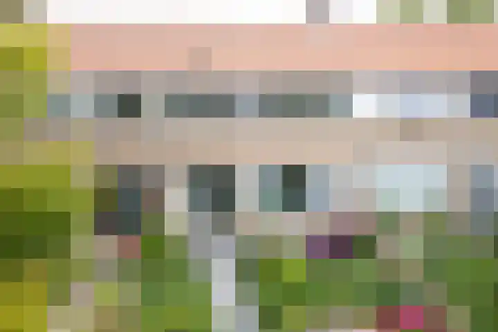 Beukenlaan 35 Middenmeer thumbnail 35