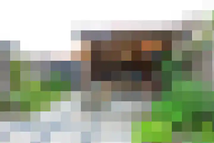 Beukenlaan 35 Middenmeer thumbnail 4