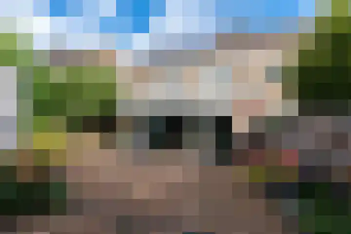 Beukenlaan 36 Rhenen thumbnail 31