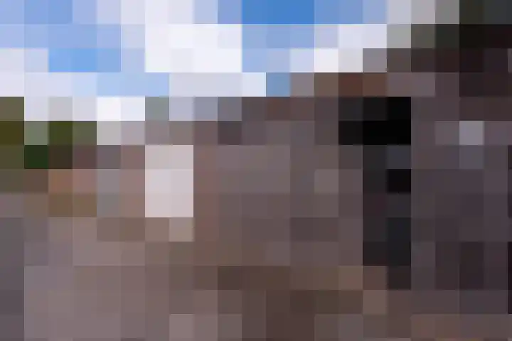 Beukenlaan 36 Rhenen thumbnail 34