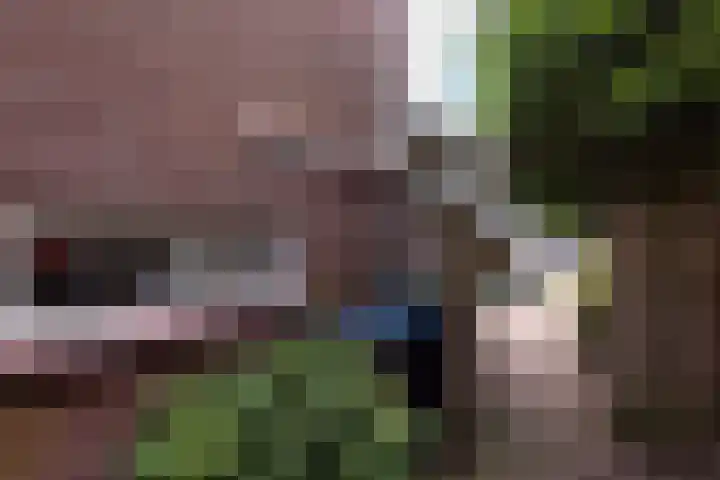 Beukenlaan 36 Rhenen thumbnail 35