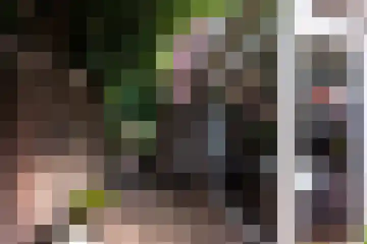 Beukenlaan 36 Rhenen thumbnail 36