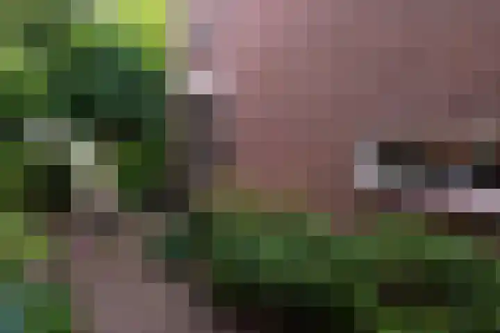 Beukenlaan 36 Rhenen thumbnail 37
