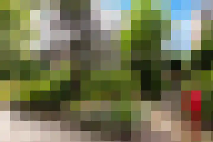 Beukenlaan 36 Rhenen thumbnail 38