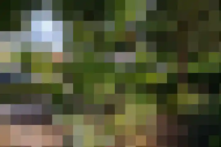 Beukenlaan 36 Rhenen thumbnail 39