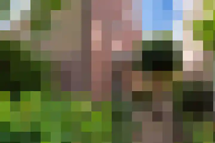 Beukenlaan 36 Rhenen thumbnail 4