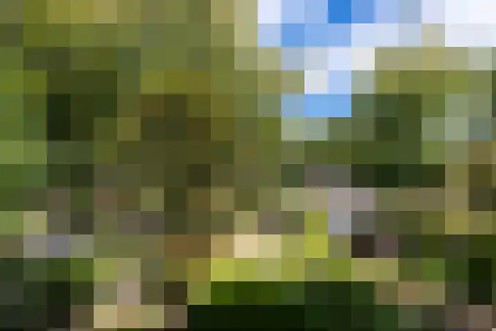 Beukenlaan 36 Rhenen thumbnail 40