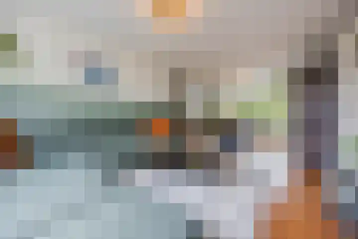 Beukenlaan 39 Oud Gastel thumbnail 11