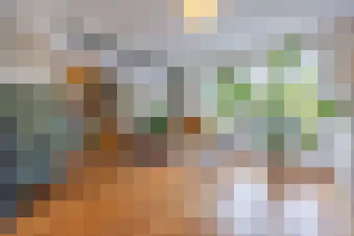 Beukenlaan 39 Oud Gastel thumbnail 16