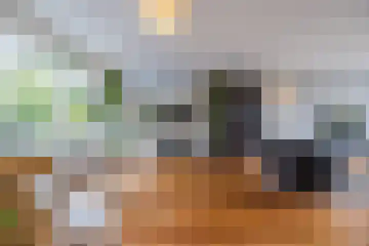 Beukenlaan 39 Oud Gastel thumbnail 17