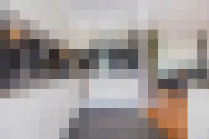 Beukenlaan 39 Oud Gastel thumbnail 19