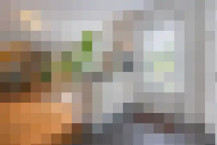 Beukenlaan 39 Oud Gastel thumbnail 20