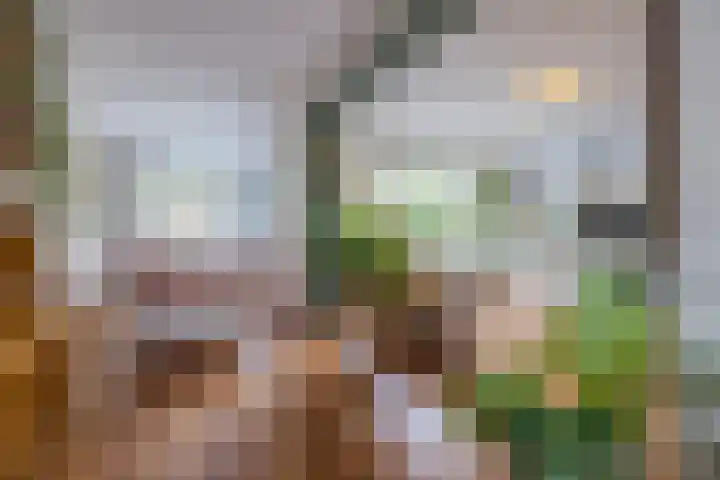 Beukenlaan 39 Oud Gastel thumbnail 22