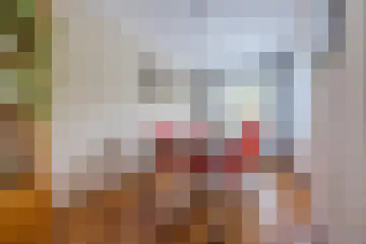 Beukenlaan 39 Oud Gastel thumbnail 23