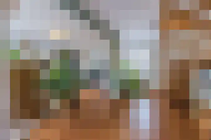 Beukenlaan 39 Oud Gastel thumbnail 24