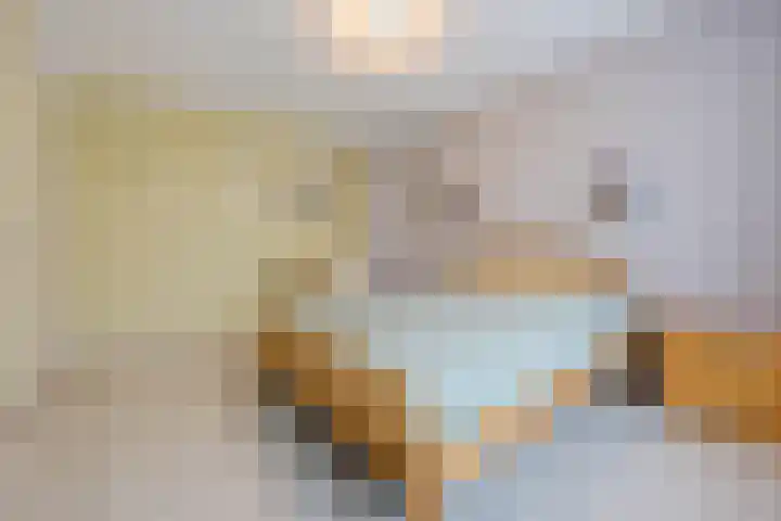 Beukenlaan 39 Oud Gastel thumbnail 27