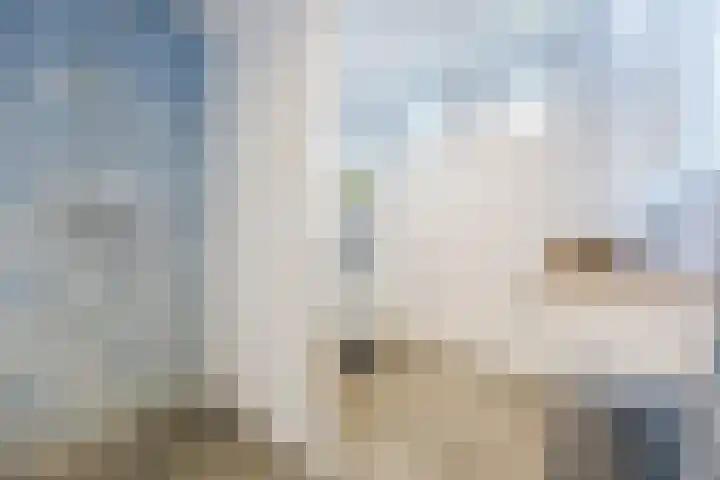 Beukenlaan 39 Oud Gastel thumbnail 33