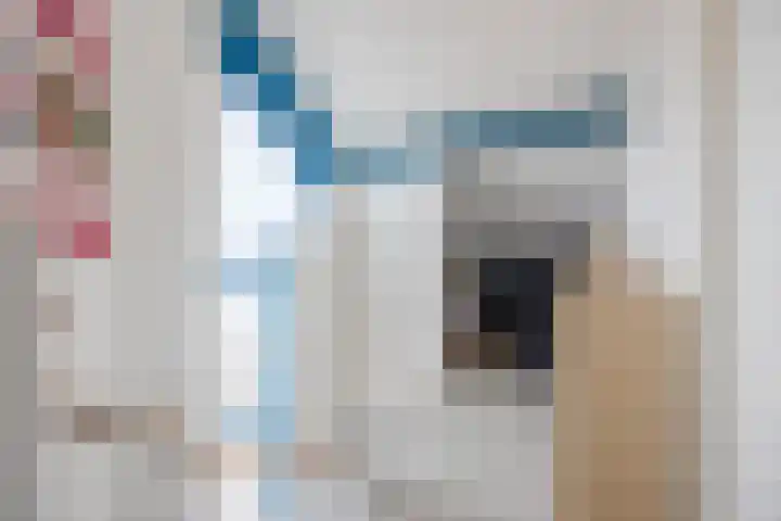 Beukenlaan 39 Oud Gastel thumbnail 39