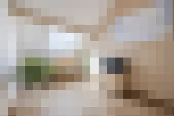 Beukenlaan 39 Oud Gastel thumbnail 43
