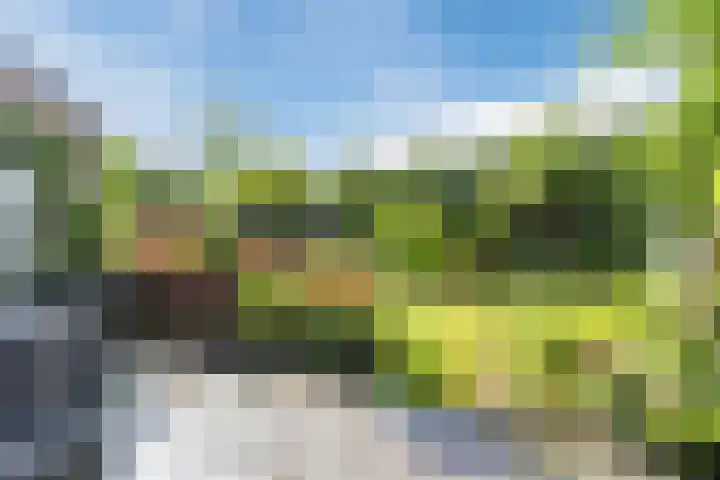 Beukenlaan 39 Oud Gastel thumbnail 45