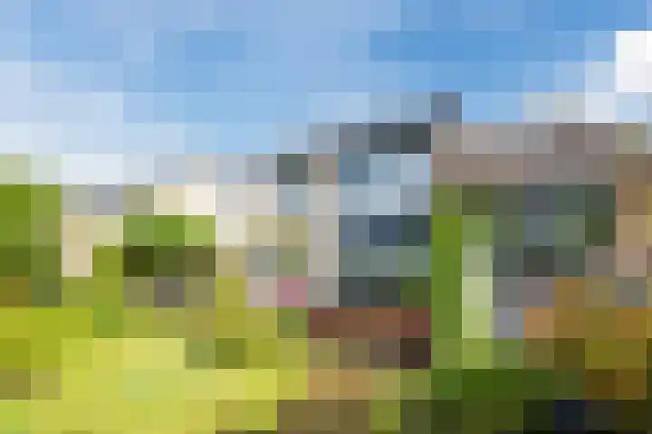 Beukenlaan 39 Oud Gastel thumbnail 49
