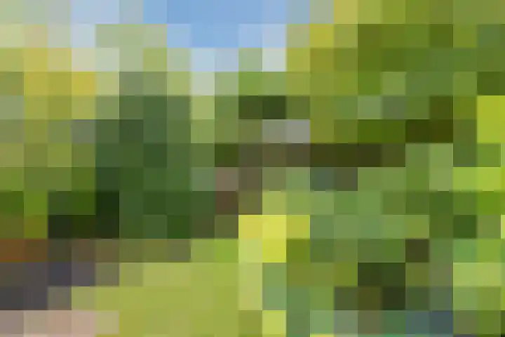 Beukenlaan 39 Oud Gastel thumbnail 50