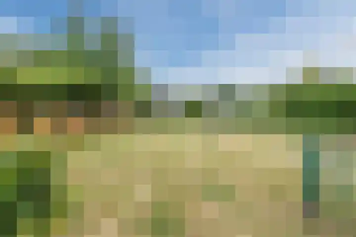 Beukenlaan 39 Oud Gastel thumbnail 54
