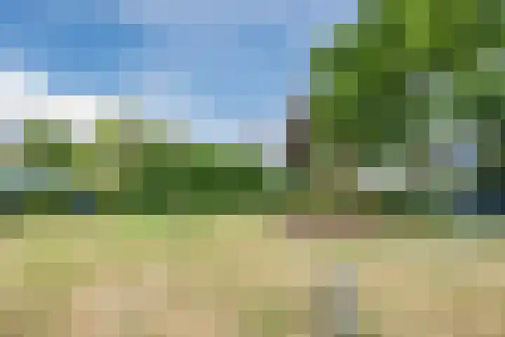 Beukenlaan 39 Oud Gastel thumbnail 56