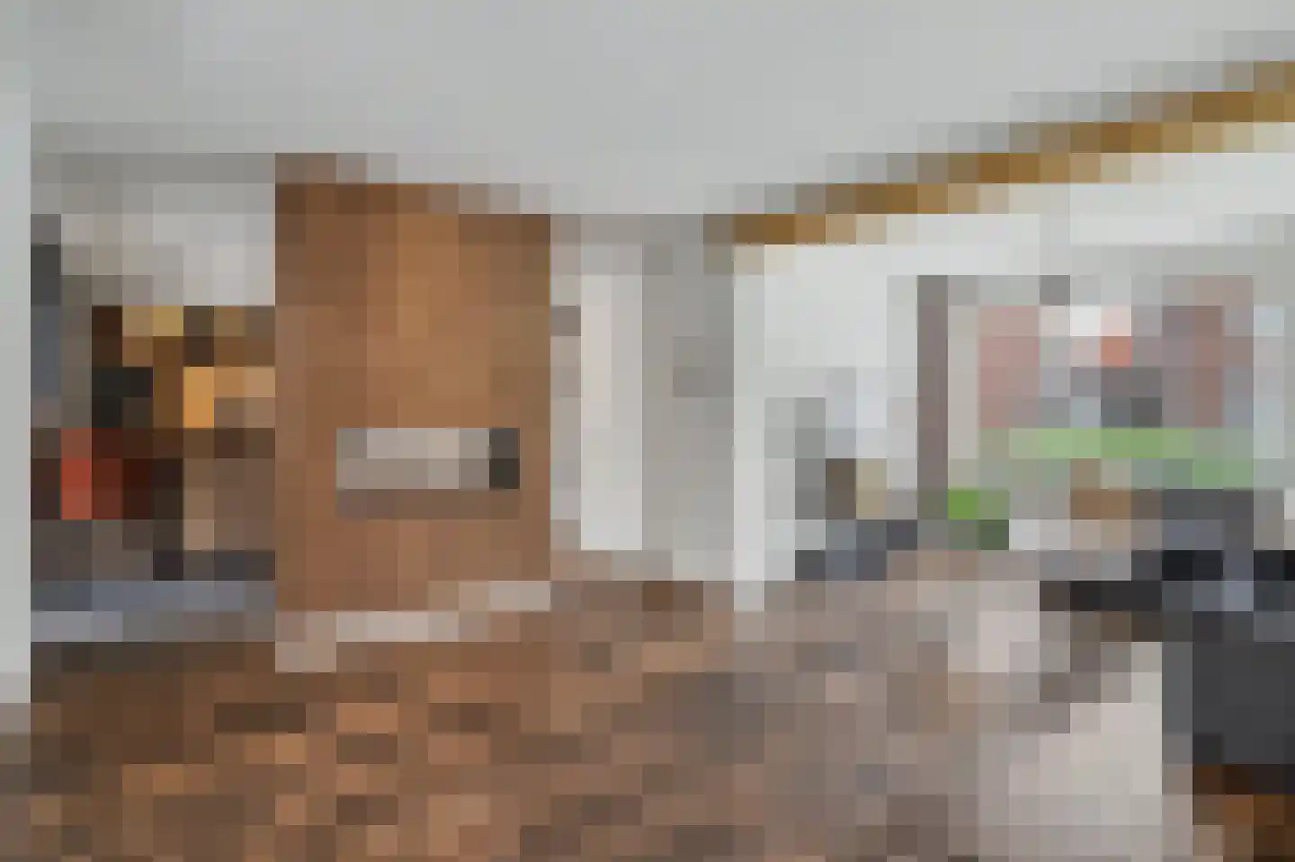 Beukenlaan 39 Reusel thumbnail 18