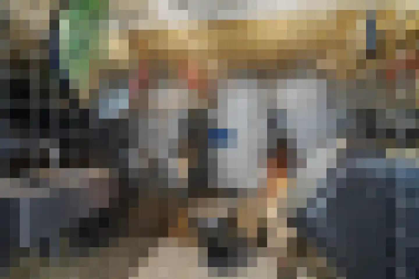 Beukenlaan 39 Reusel thumbnail 25