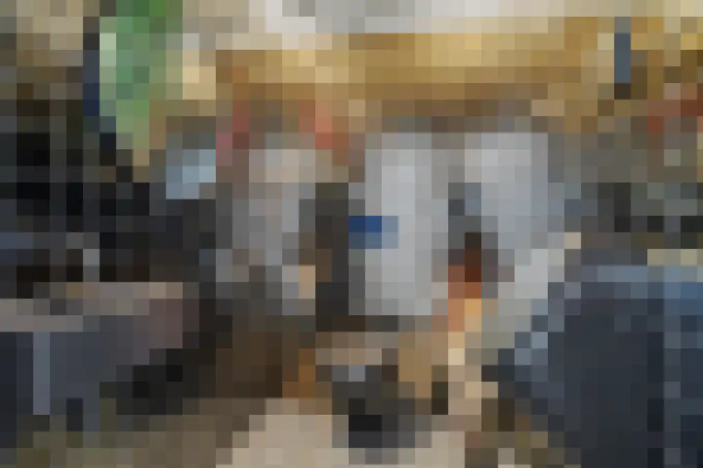 Beukenlaan 39 Reusel thumbnail 30