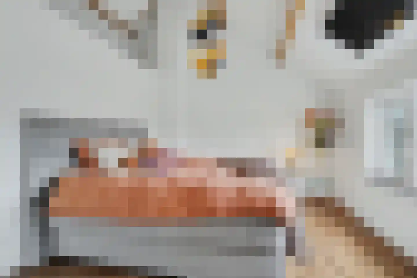 Beukenlaan 39 Reusel thumbnail 34