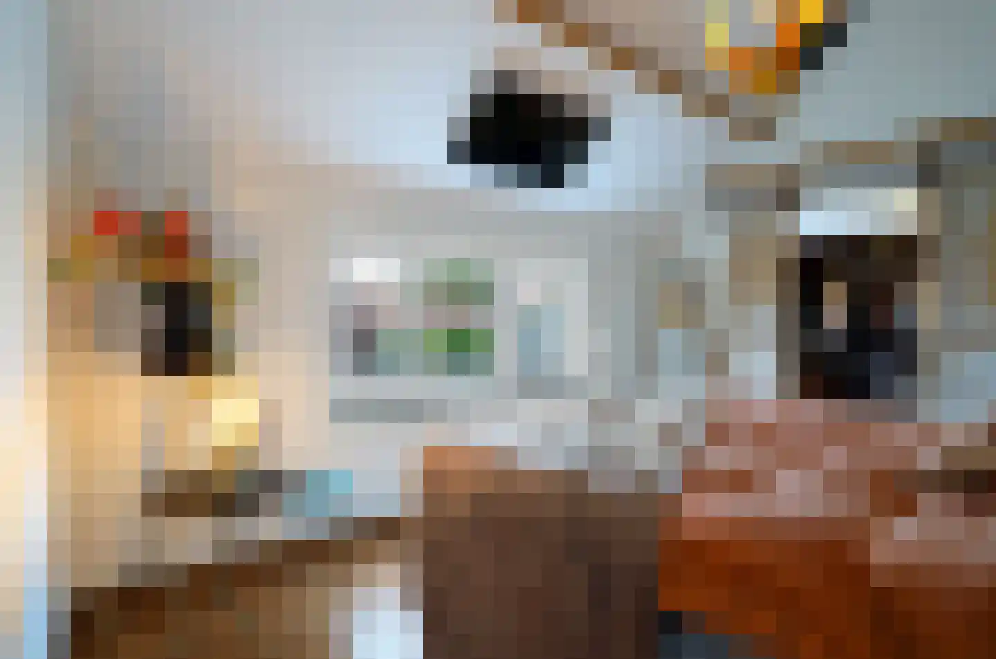 Beukenlaan 39 Reusel thumbnail 35