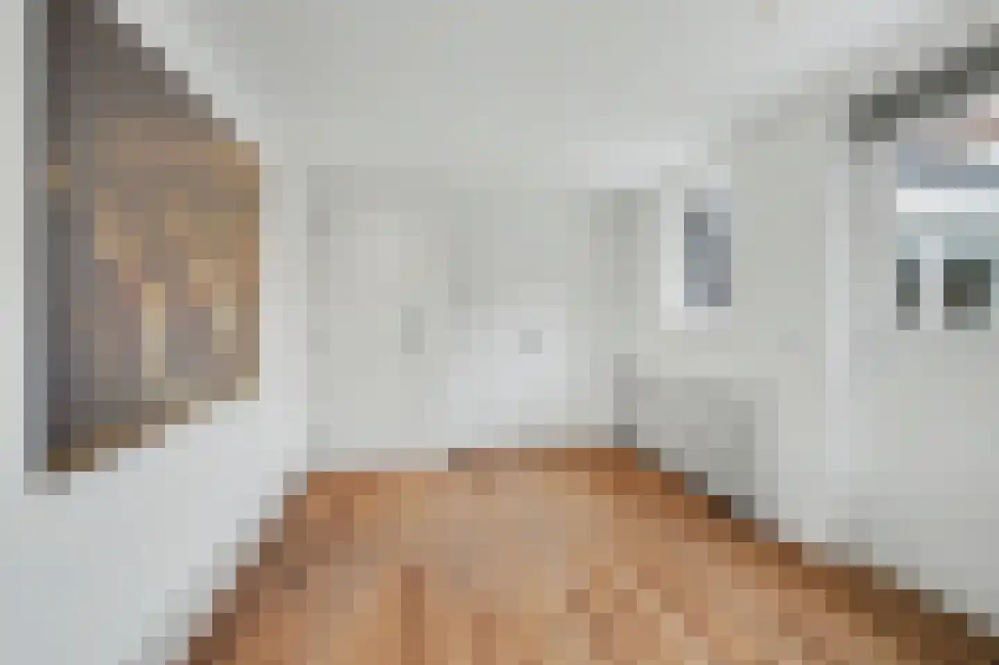 Beukenlaan 39 Reusel thumbnail 36