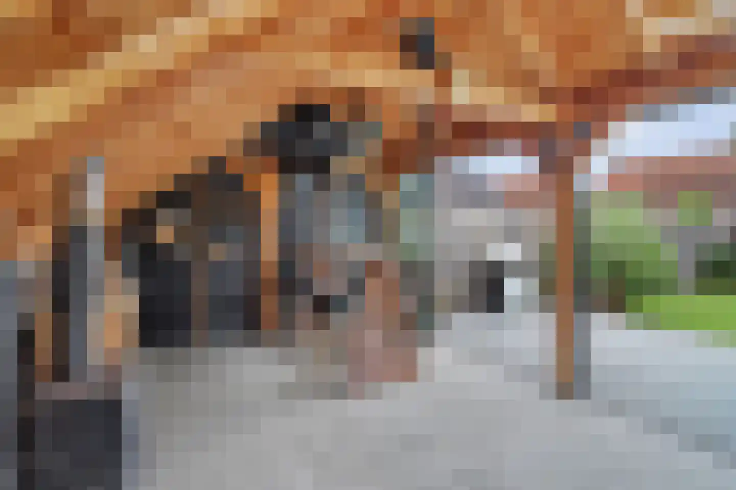 Beukenlaan 39 Reusel thumbnail 54