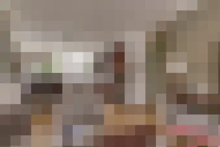 Beukenlaan 39 Rozenburg thumbnail 15