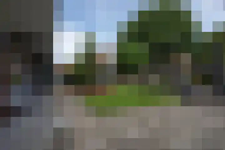 Beukenlaan 39 Rozenburg thumbnail 34