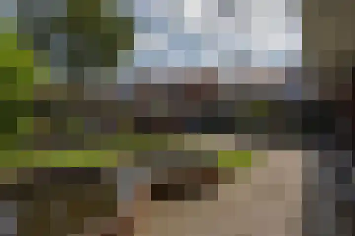 Beukenlaan 39 Rozenburg thumbnail 35