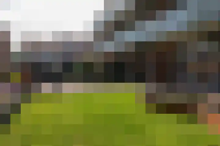 Beukenlaan 39 Rozenburg thumbnail 36