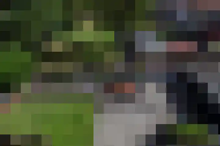 Beukenlaan 39 Rozenburg thumbnail 38