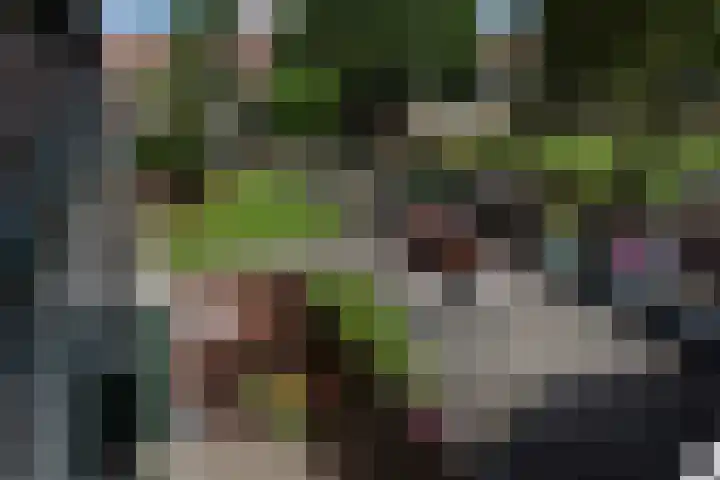 Beukenlaan 39 Rozenburg thumbnail 39