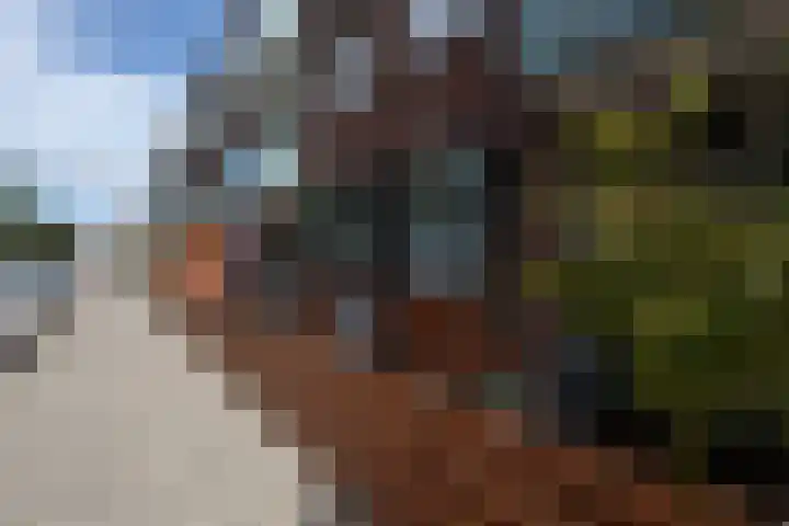 Beukenlaan 39 Rozenburg thumbnail 44