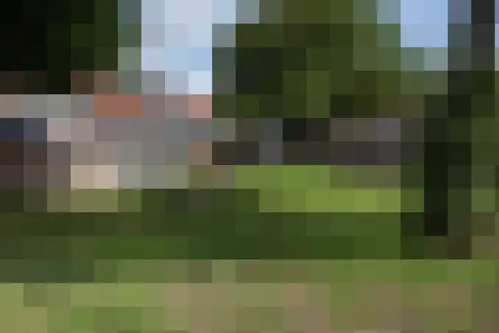 Beukenlaan 39 Rozenburg thumbnail 46