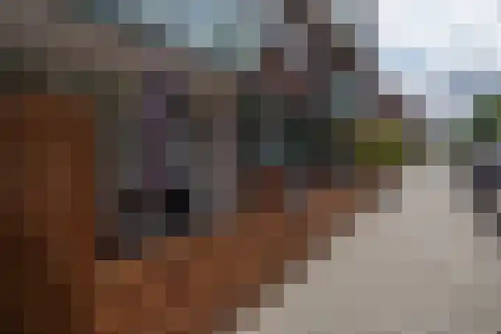 Beukenlaan 39 Rozenburg thumbnail 6