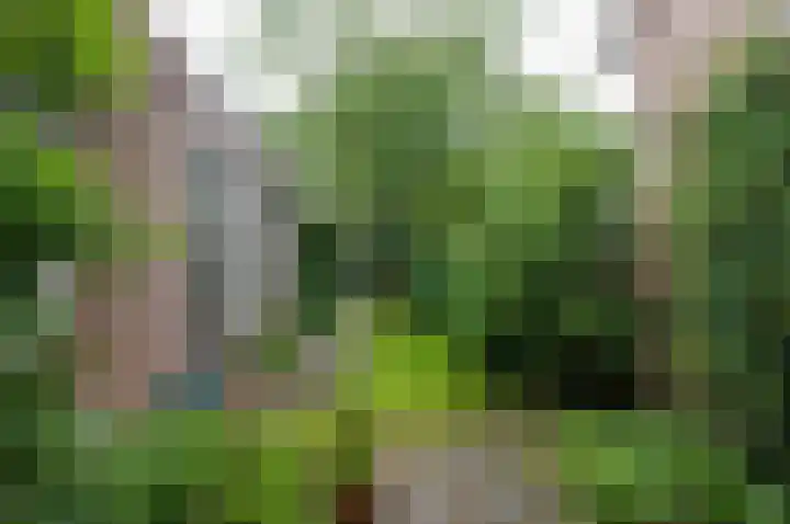 Beukenlaan 39 Westerbork thumbnail 21