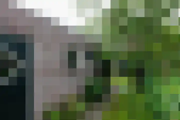 Beukenlaan 39 Westerbork thumbnail 22