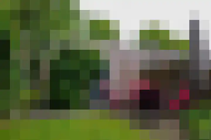 Beukenlaan 39 Westerbork thumbnail 23