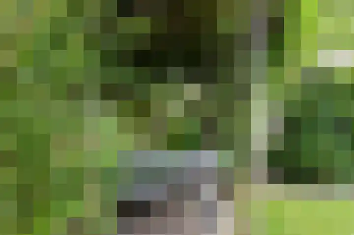 Beukenlaan 39 Westerbork thumbnail 24