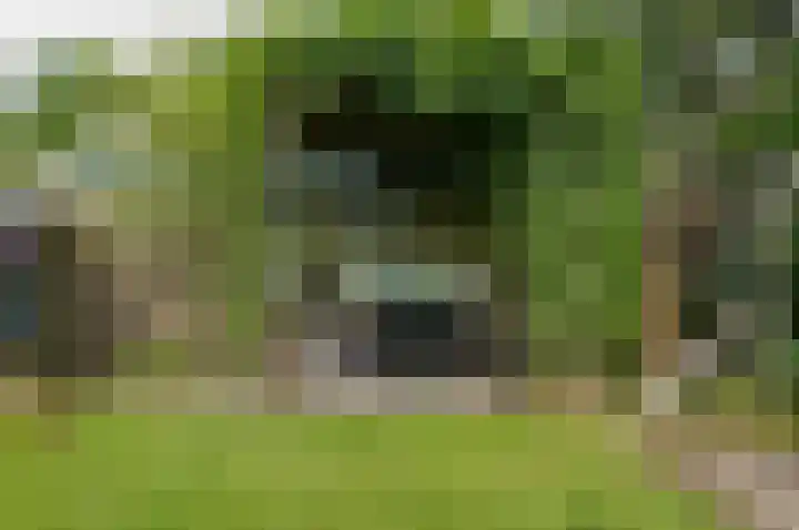 Beukenlaan 39 Westerbork thumbnail 26