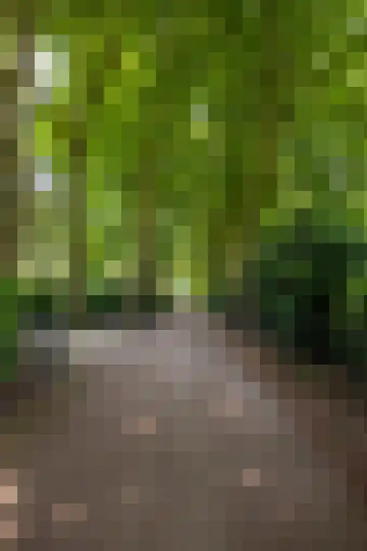 Beukenlaan 4 Doornspijk thumbnail 10